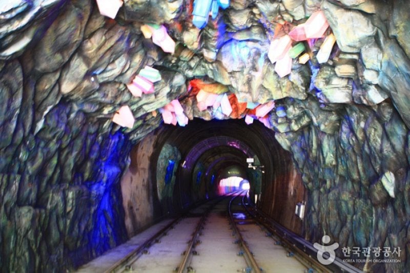 三陟海洋鐵路自行車 (16/24)