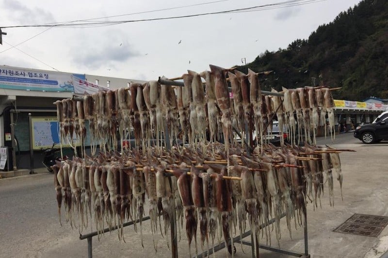 鬱陵島魷魚慶典