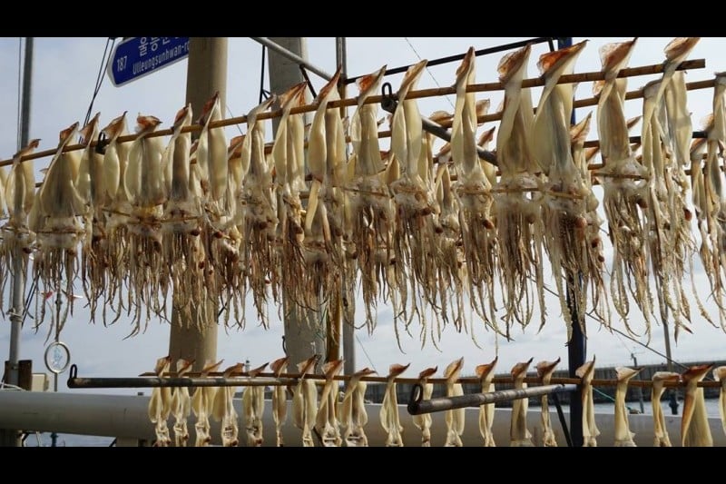 鬱陵島魷魚慶典