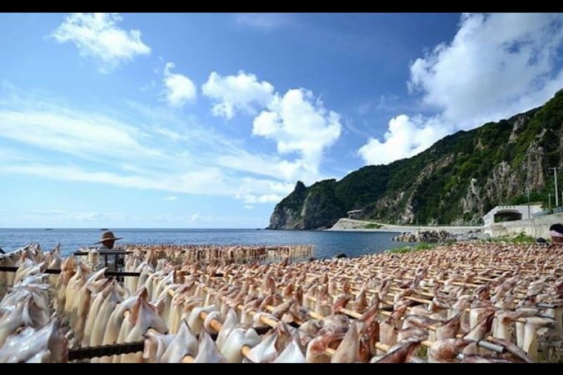 鬱陵島魷魚慶典