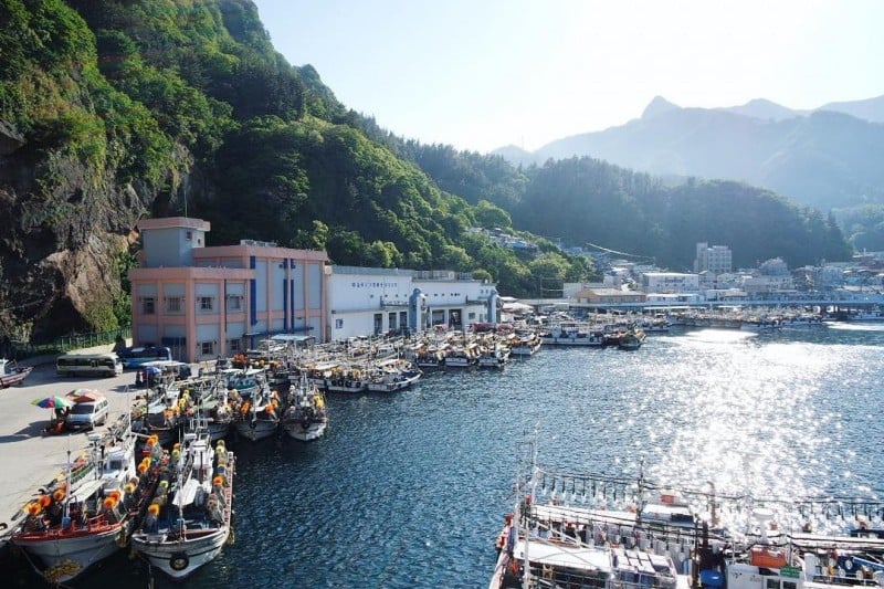 鬱陵島魷魚慶典