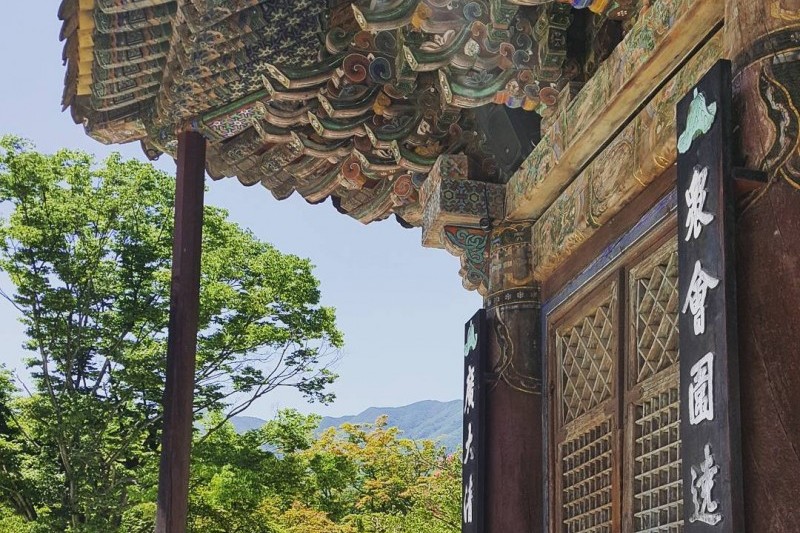 直指寺山寺體驗 (5/14)