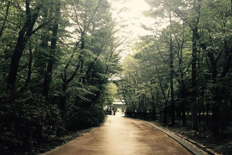 直指寺山寺體驗 (8/14)