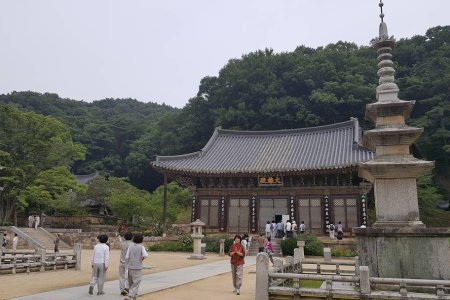 直指寺山寺體驗