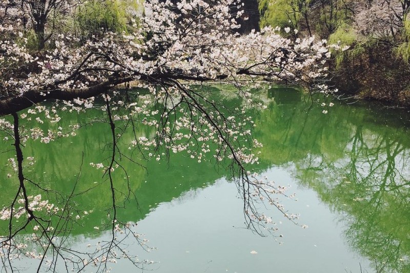 德川書院