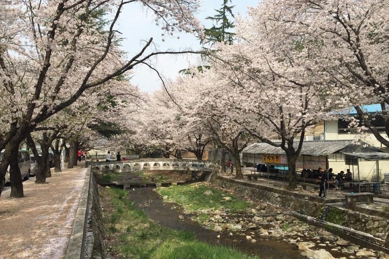 德川書院