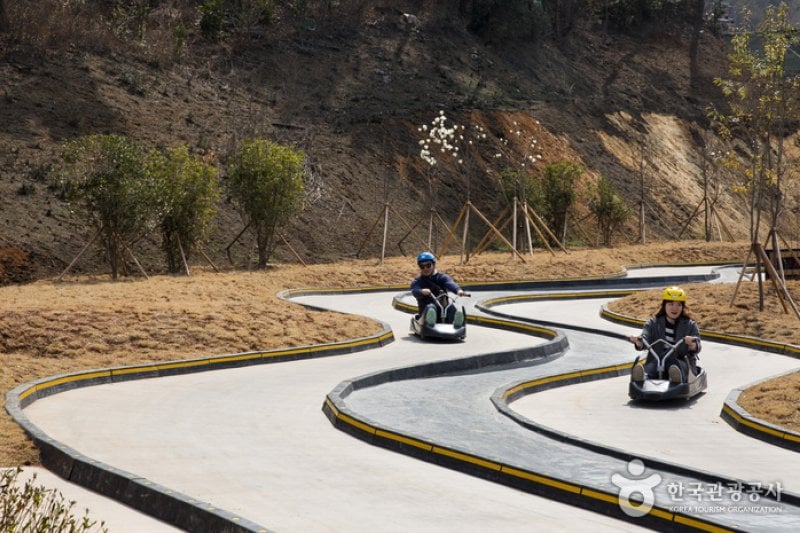 Skyline Luge(스카이라인 루지)