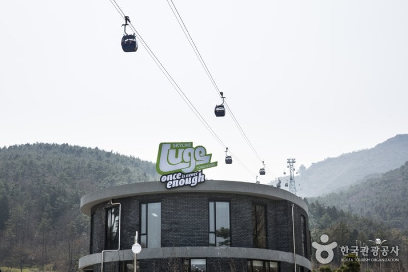 Skyline Luge(스카이라인 루지)