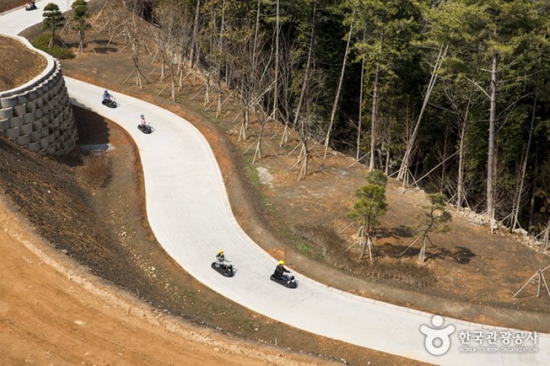 Skyline Luge(스카이라인 루지)