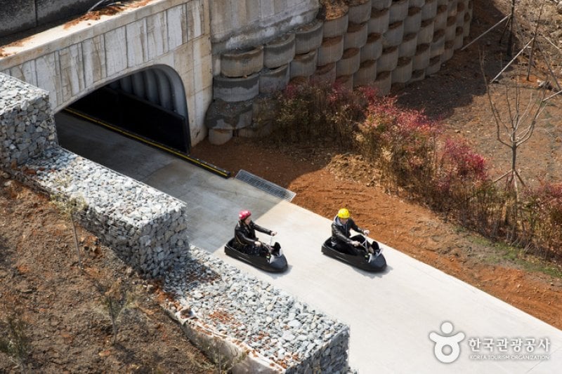 Skyline Luge(스카이라인 루지)