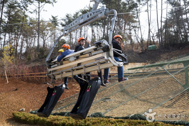 Skyline Luge(스카이라인 루지)
