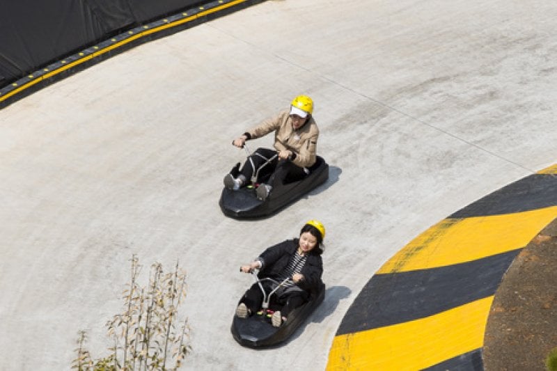 Skyline Luge(스카이라인 루지)