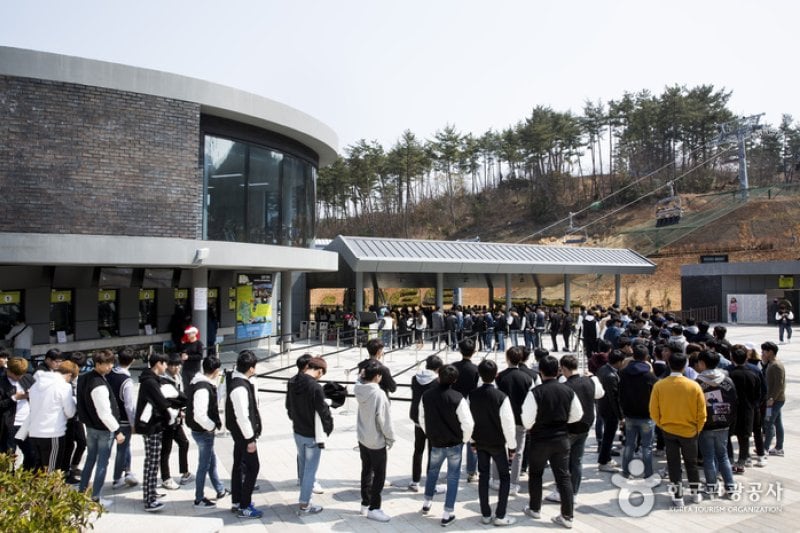 Skyline Luge(스카이라인 루지)