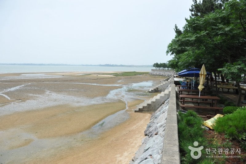 鋸頭海水浴場 (6/6)