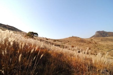 黃梅山郡立公園