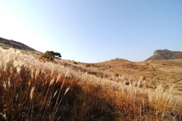 黃梅山郡立公園