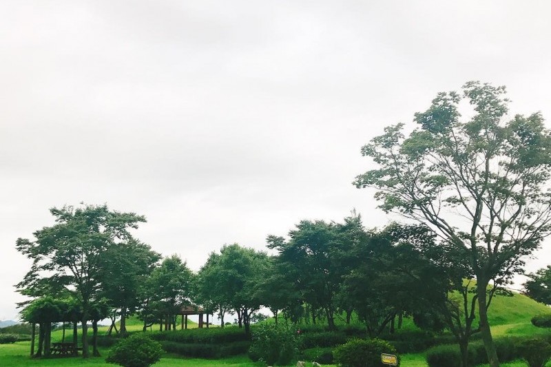 國立羅州博物館 (3/6)