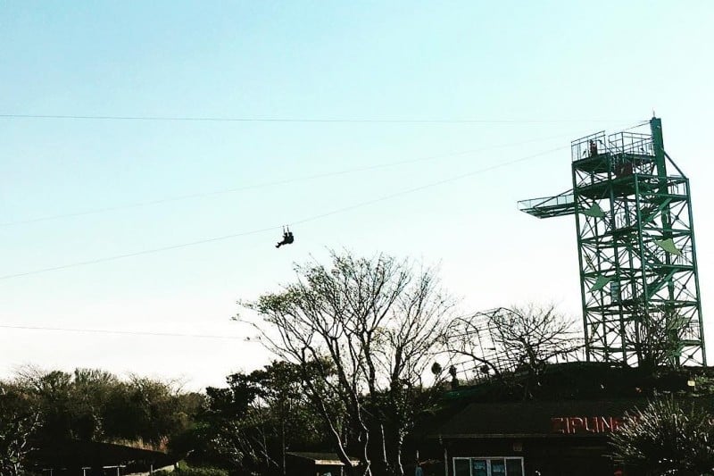 濟州高空飛索 (5/5)