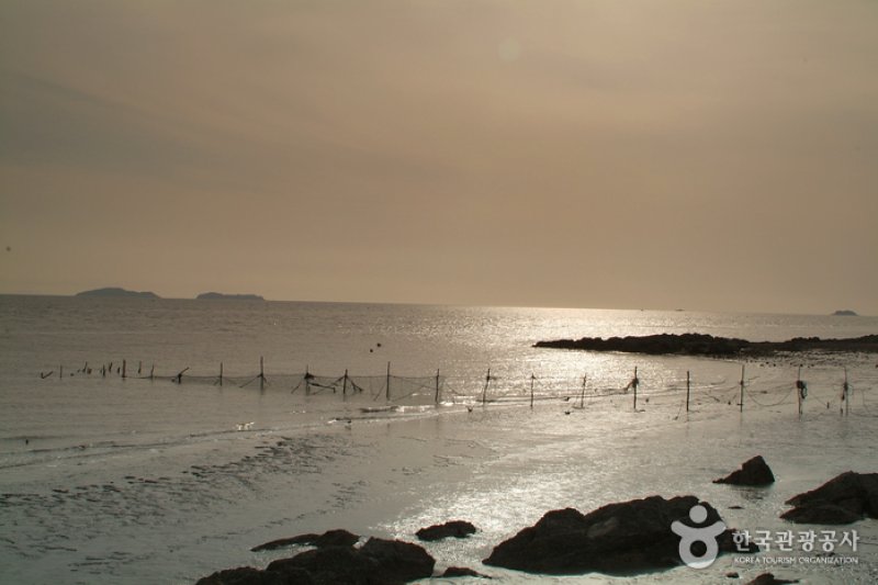 席毛島