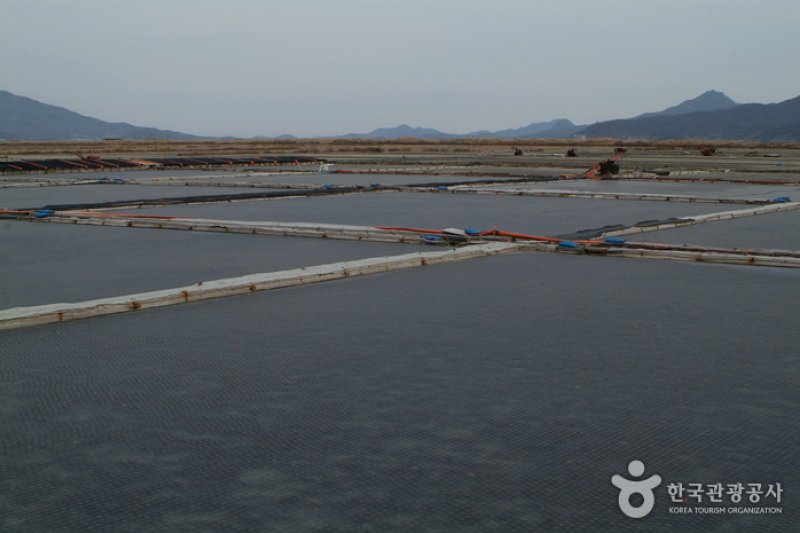 席毛島