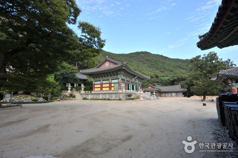 席毛島