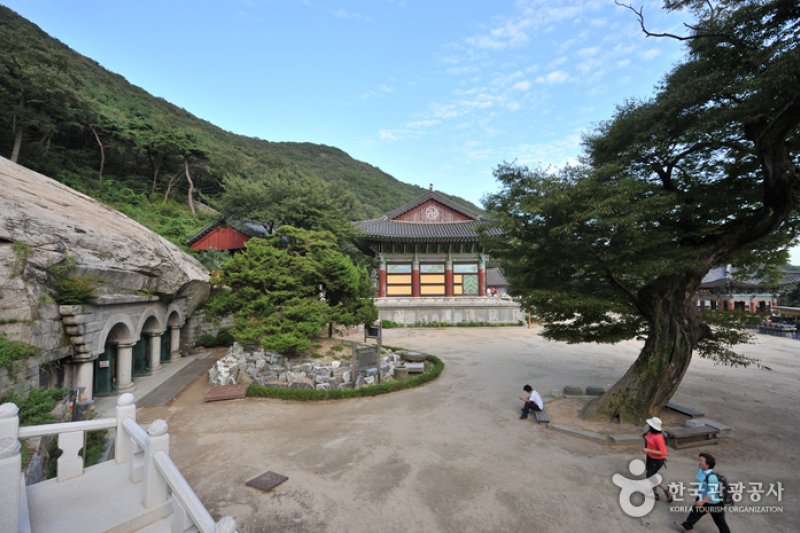 席毛島