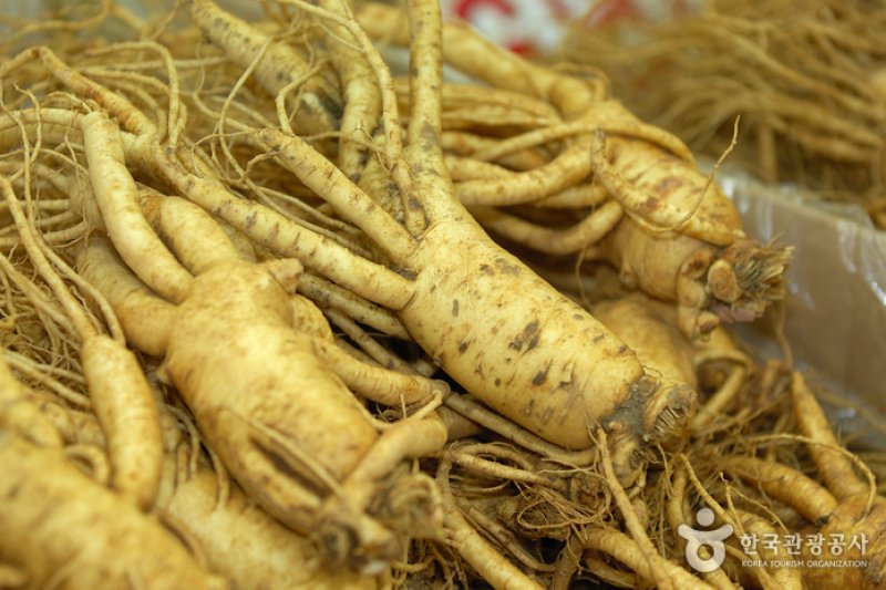江華人蔘中心 (2/5)