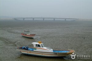 信島
