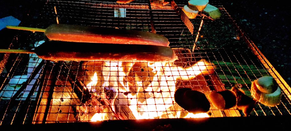 龍仁 鬆園 Glamping Park Camping Tour  &amp; Everland
