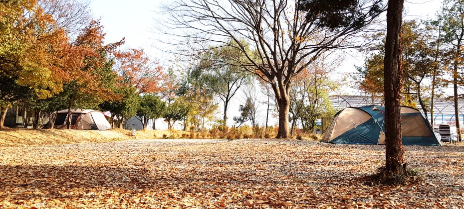 龍仁 鬆園 Glamping Park Camping Tour  &amp; Everland