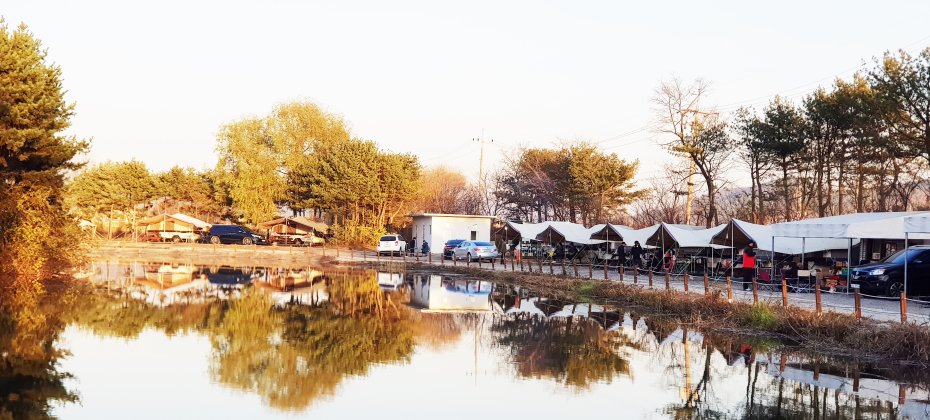 龍仁 鬆園 Glamping Park Camping Tour  &amp; Everland