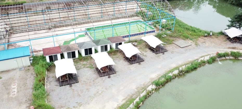 龍仁 鬆園 Glamping Park Camping Tour  &amp; Everland