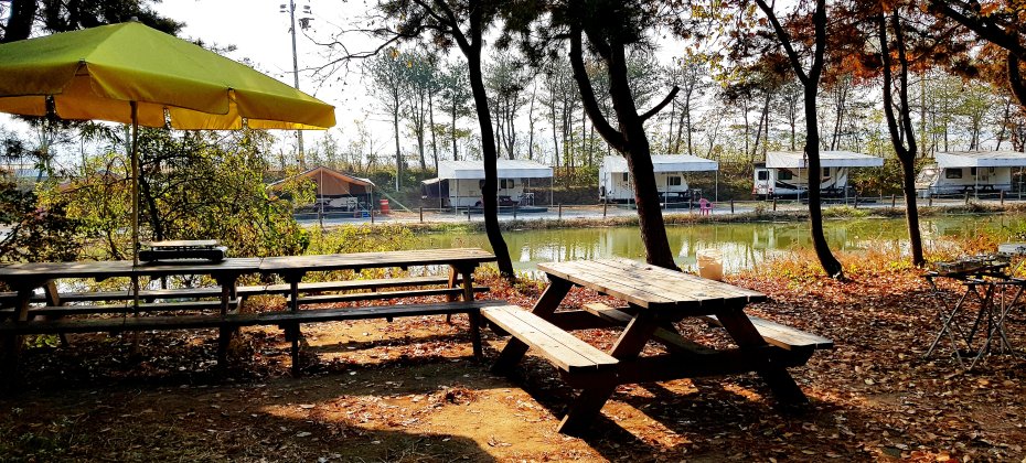 龍仁 鬆園 Glamping Park Camping Tour  &amp; Everland
