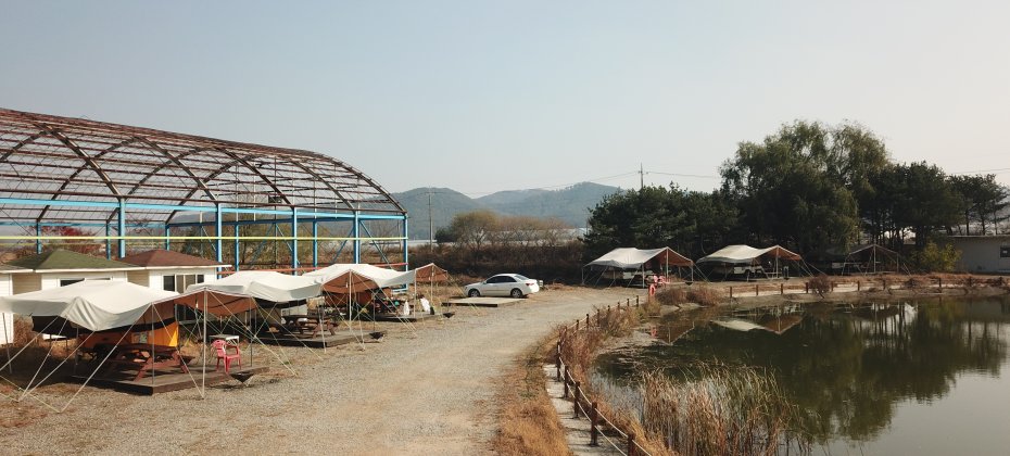 龍仁 鬆園 Glamping Park Camping Tour  &amp; Everland
