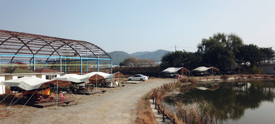 龍仁 鬆園 Glamping Park Camping Tour  &amp; Everland