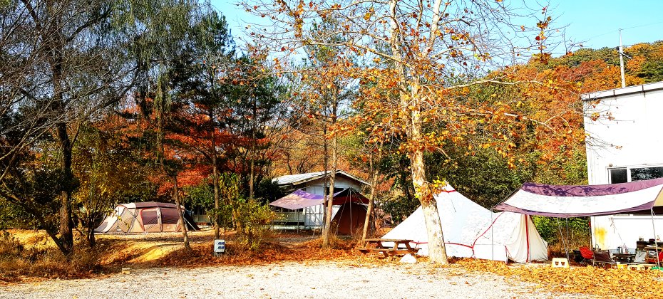 龍仁 鬆園 Glamping Park Camping Tour  &amp; Everland