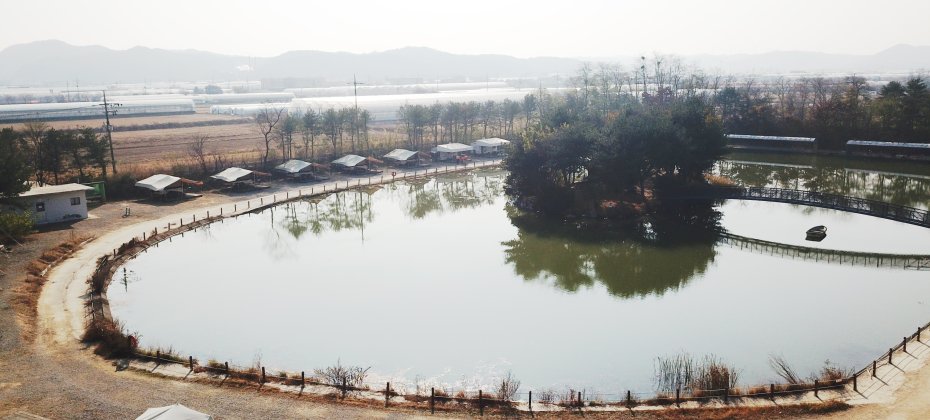 龍仁 鬆園 Glamping Park Camping Tour  &amp; Everland