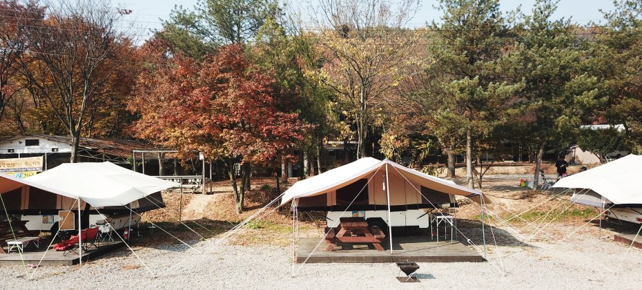 龍仁 鬆園 Glamping Park Camping Tour  &amp; Everland