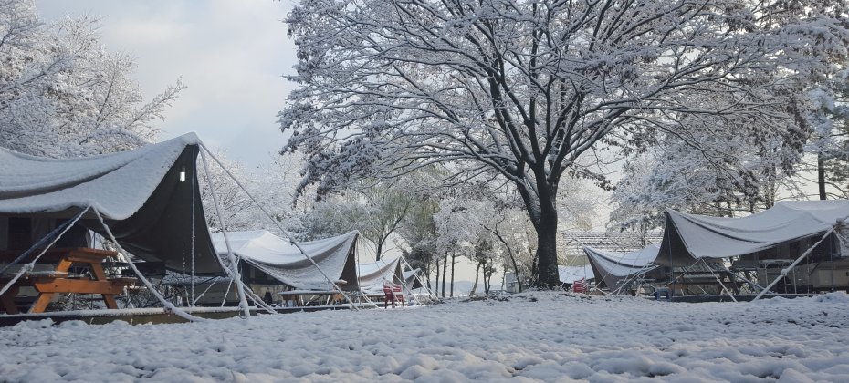 龍仁 鬆園 Glamping Park Camping Tour  &amp; Everland