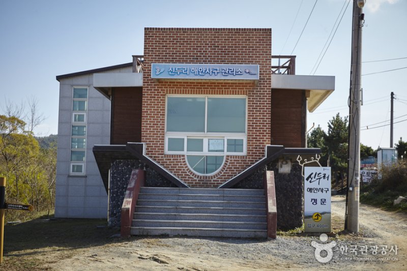 新斗里海岸沙丘