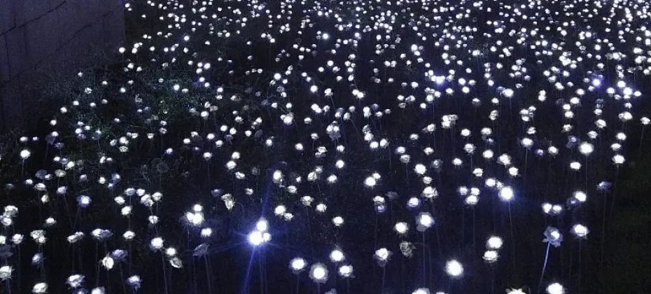 東大門設計廣場(DDP）동대문디자인플라자(DDP) LED玫瑰花園