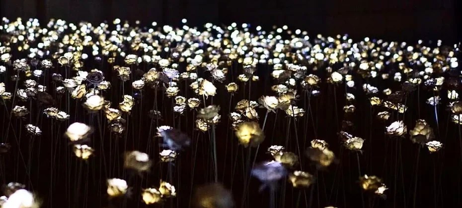東大門設計廣場(DDP）동대문디자인플라자(DDP) LED玫瑰花園