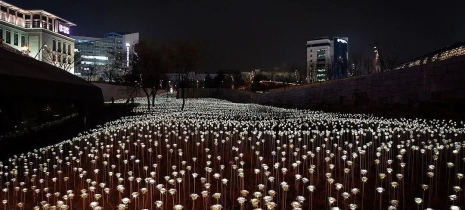 東大門設計廣場(DDP）동대문디자인플라자(DDP) LED玫瑰花園