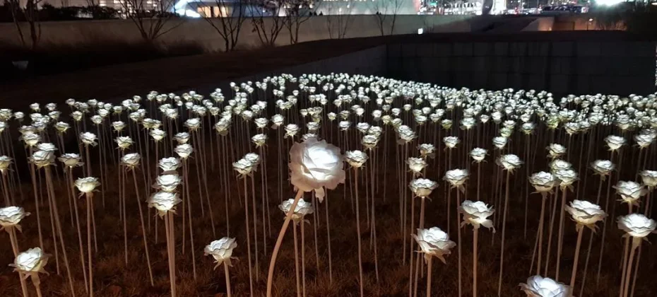東大門設計廣場(DDP）동대문디자인플라자(DDP) LED玫瑰花園