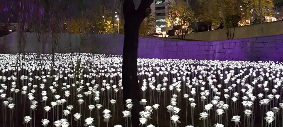 東大門設計廣場(DDP）동대문디자인플라자(DDP) LED玫瑰花園