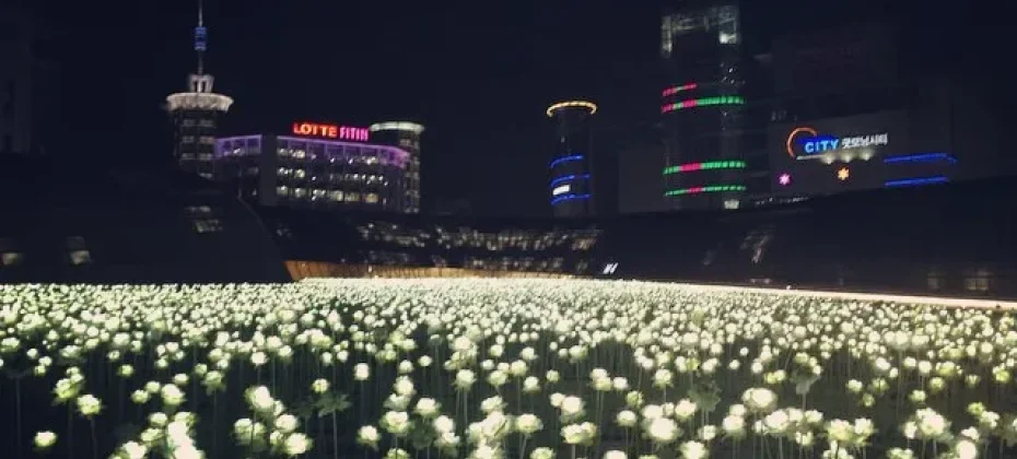 東大門設計廣場(DDP）동대문디자인플라자(DDP) LED玫瑰花園