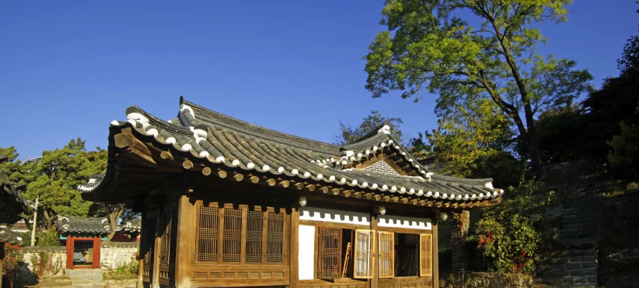 江華島文化/歷史療愈一日遊：主要觀光地+和平瞭望台+蕪菁泡菜體驗