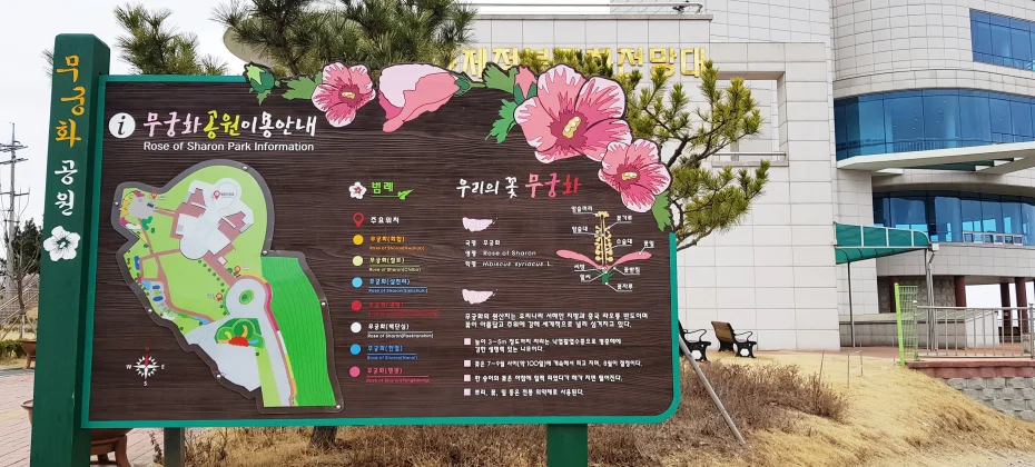 江華島文化/歷史療愈一日遊：主要觀光地+和平瞭望台+蕪菁泡菜體驗