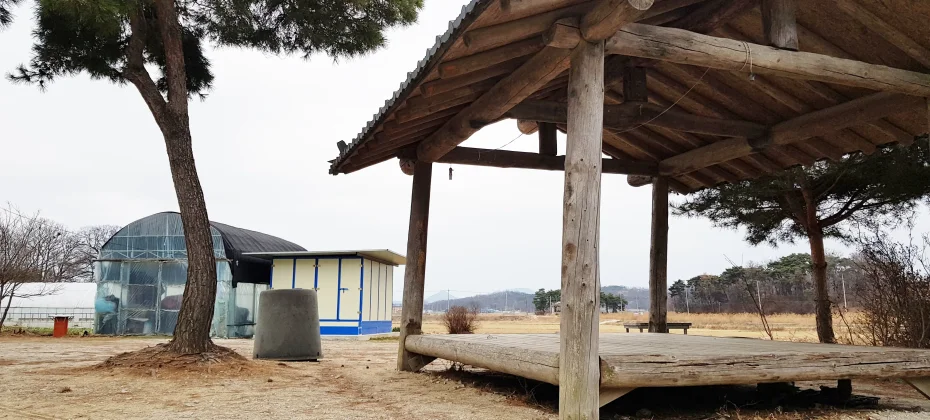 江華島文化/歷史療愈一日遊：主要觀光地+和平瞭望台+蕪菁泡菜體驗