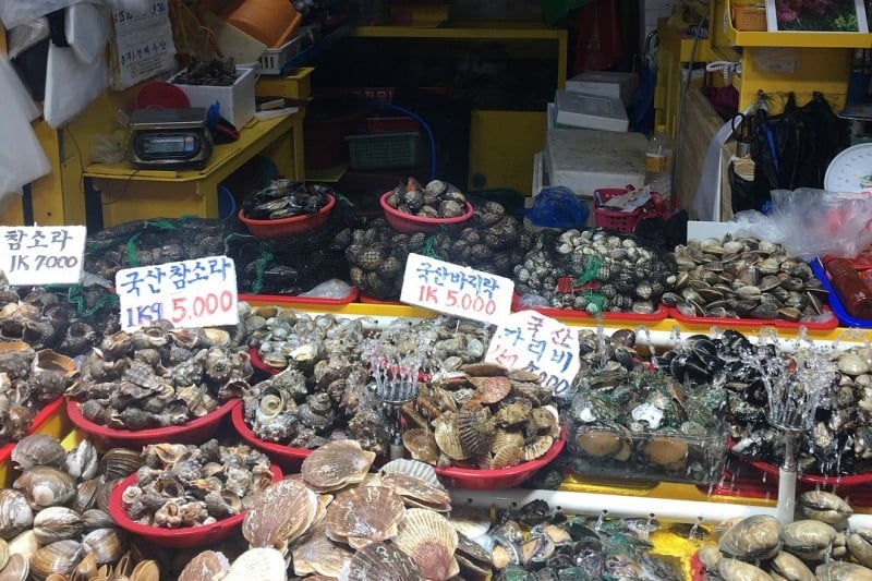仁川綜合魚市場 (4/11)